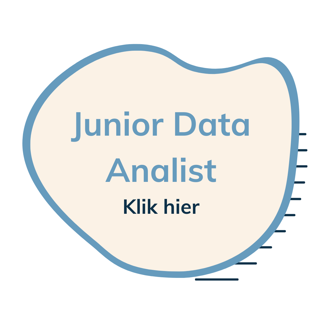 junior data analist
